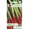 Cebula Siedmiolatka (czerwona) 2g