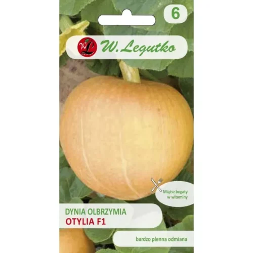 Nasiona. Dynia Olbrzymia Otylia 4g