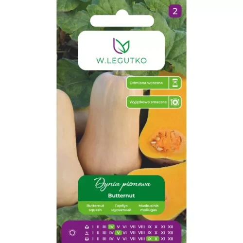 Dynia Piżmowa Butternut