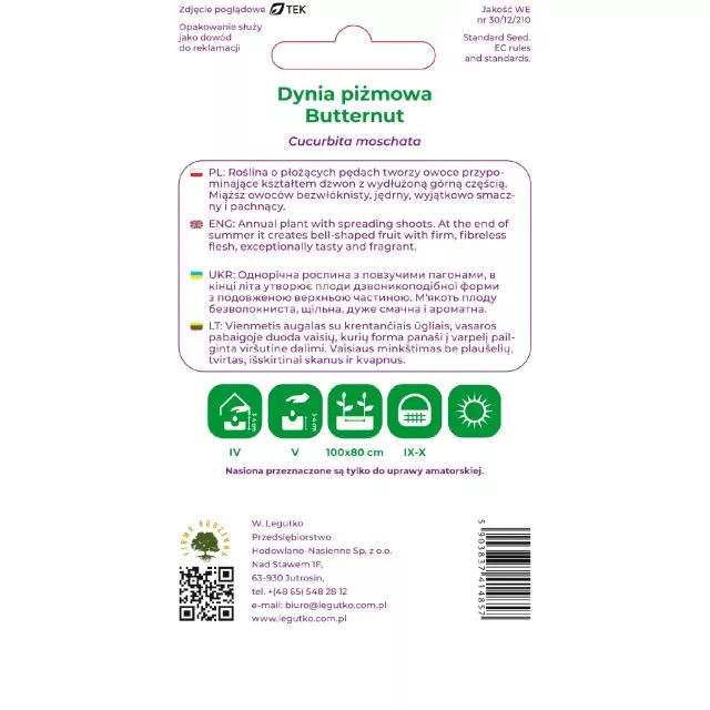 Dynia Butternut opis