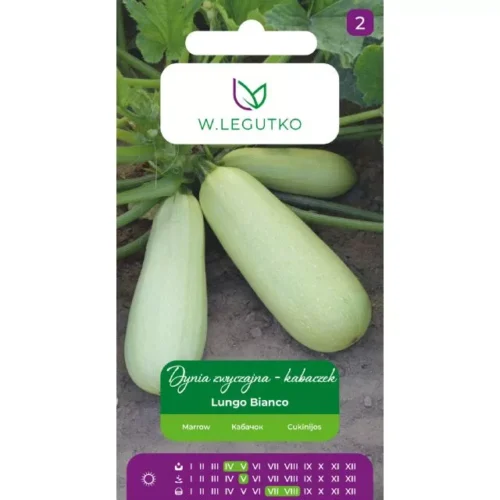 Kabaczek Lungo Bianco