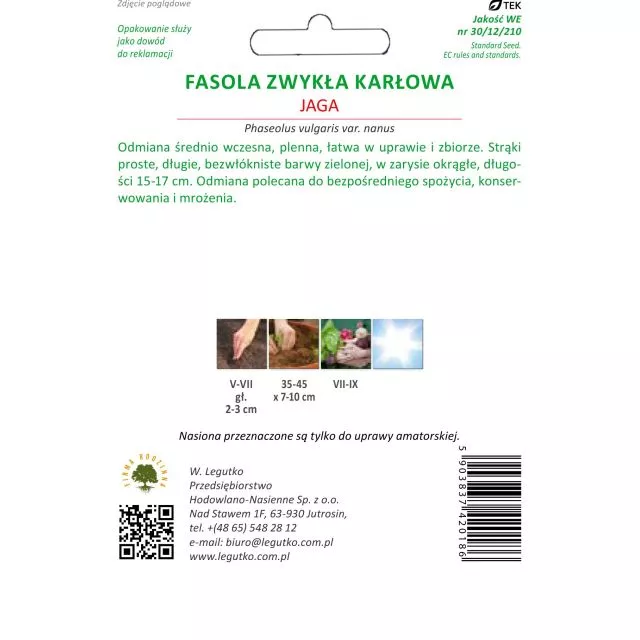 Fasola karłowa Jaga