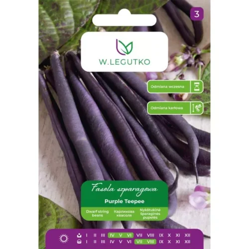 Fasola Purple Teepee