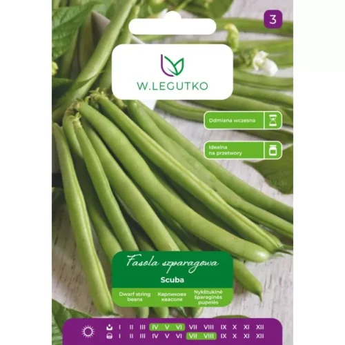 Fasola karłowa Scuba