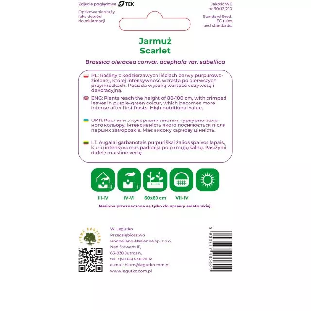 Jarmuż Scarlet   1 g - obrazek 2