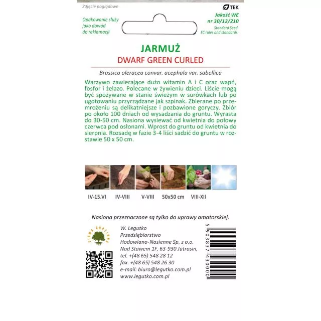 Jarmuż Dwarf Green Curled   1 g - obrazek 2