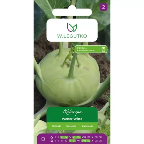 Kalarepa Wener Witte