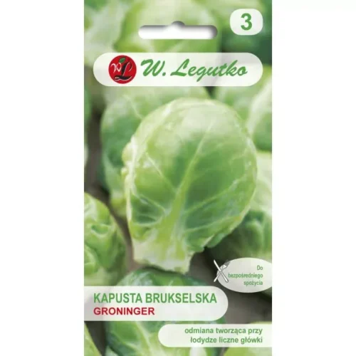 kapusta brukselska Groninger