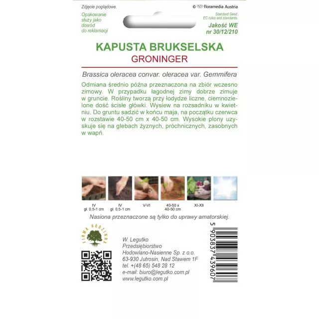 kapusta brukselska Groninger