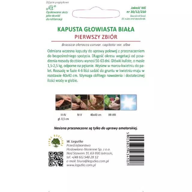 Kapusta Pierwszy Zbiór