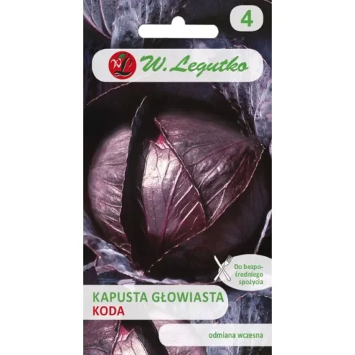 Kapusta czerwona Koda