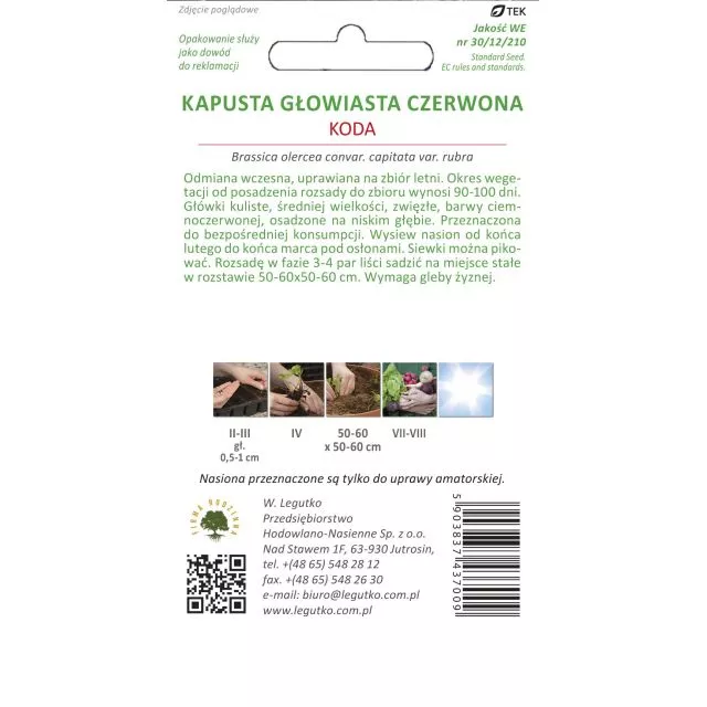 Kapusta Głowiasta Czerwona Koda  2 g - obrazek 2
