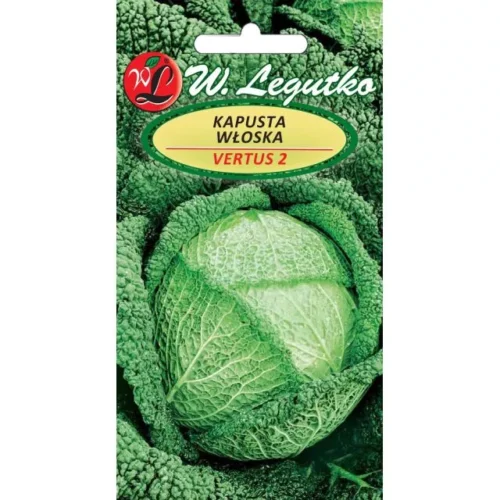 Kapusta włoska Vertus