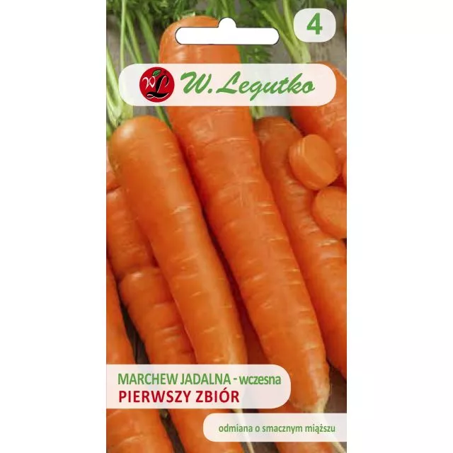 Marchew Pierwszy Zbiór