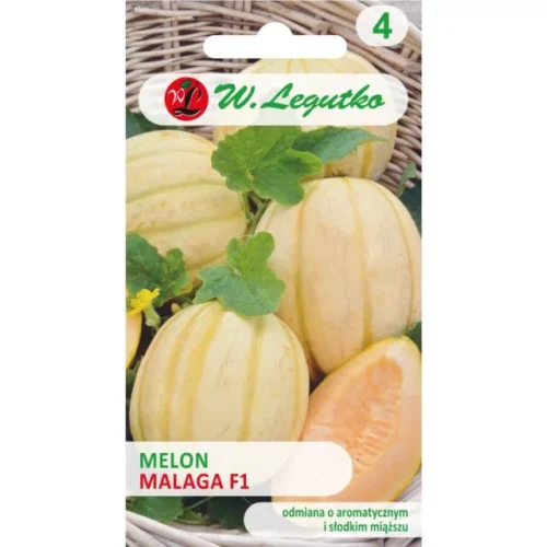 Melon Malaga