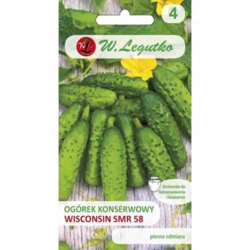 Ogórek konserwowy Wisconsin