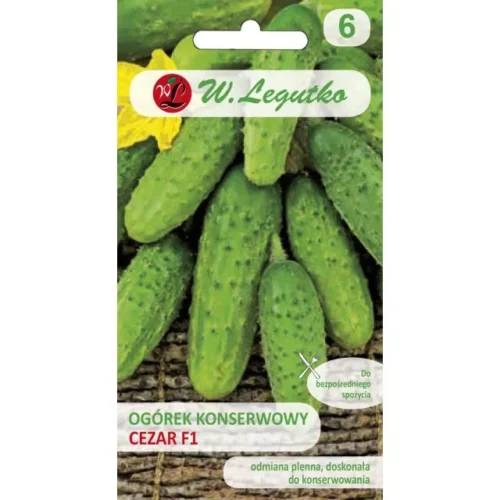 Ogórek konserwowy Cezar