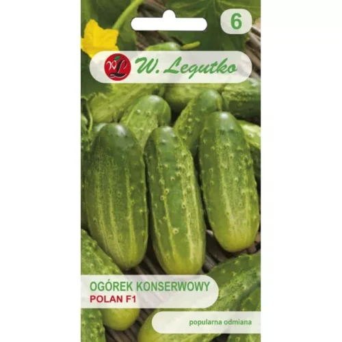 Ogórek konserwowy Polan