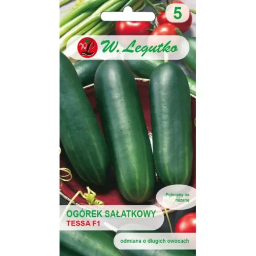 Ogórek sałatkowy Tessa