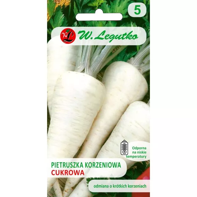 Pietruszka korzeniowa Cukrowa 5 g