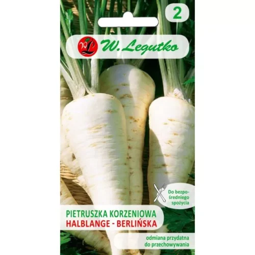 Pietruszka korzeniowa Berlińska