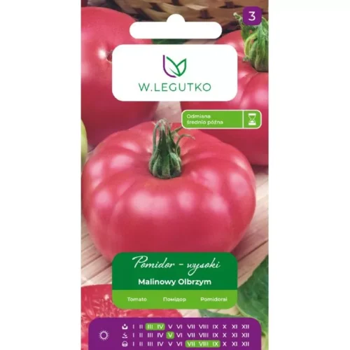 Pomidor  Malinowy Olbrzym