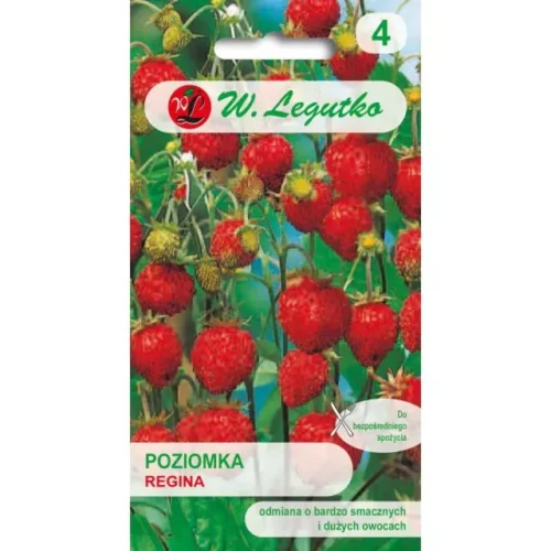 Poziomka Regina