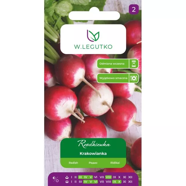 Rzodkiewka Krakowianka