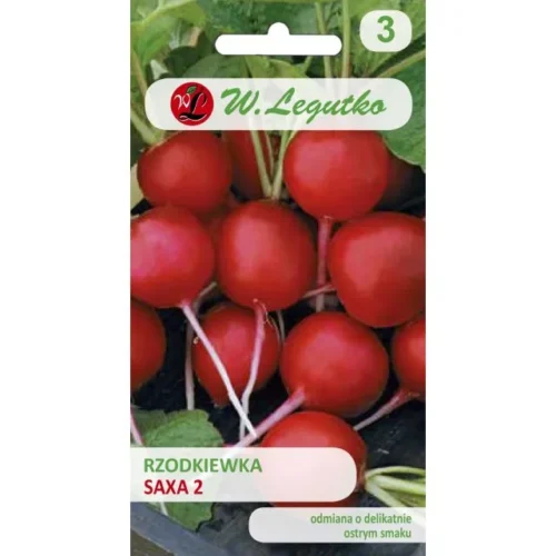 Rzodkiewka Saxa 2