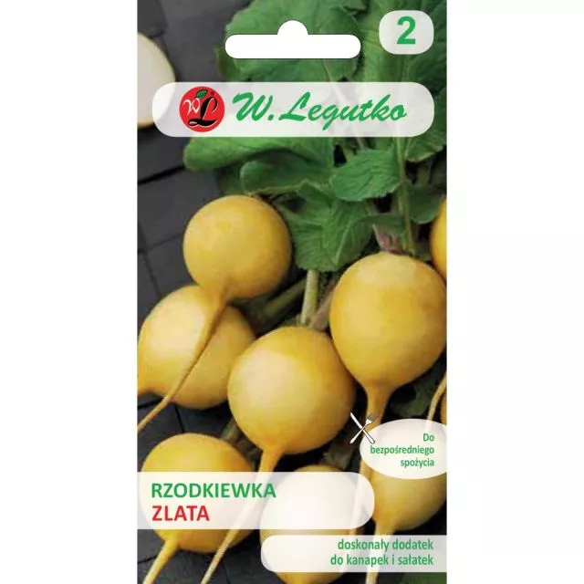 Rzodkiewka Zlata 5 g - obrazek 2