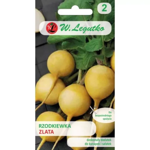 Rzodkiewka Zlata