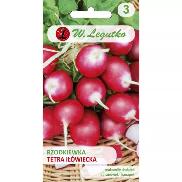 Rzodkiewka Tetra Iłówiecka