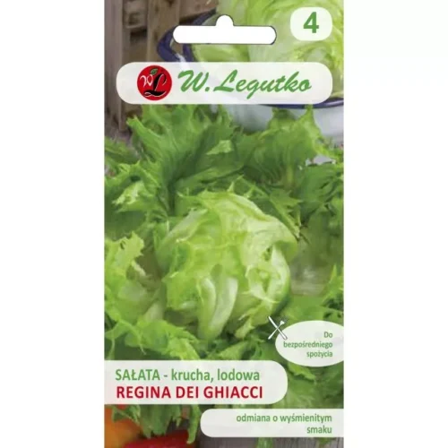 Sałata Regina dei ghiacci