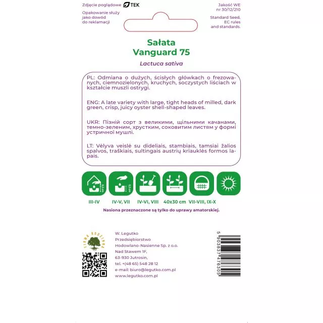 Sałata Vanguard 75 0,5 g - obrazek 2