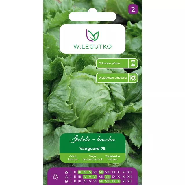 Sałata Vanguard 75