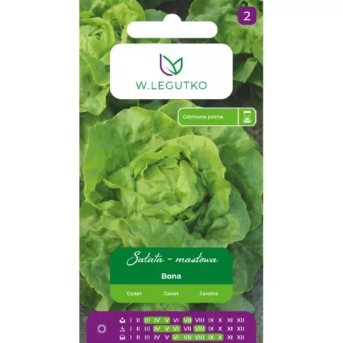 Sałata Bona
