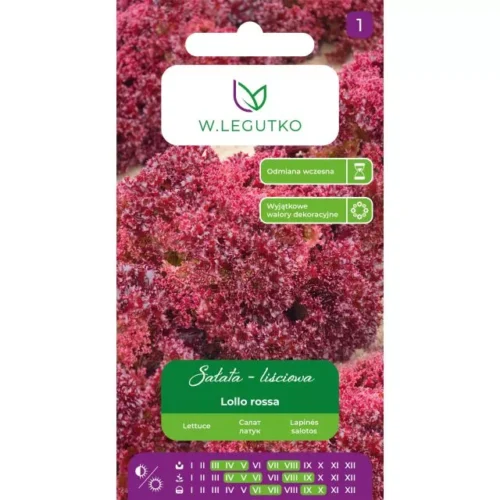 Sałata Lollo Rossa