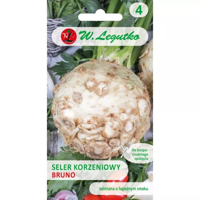 Seler korzeniowy Bruno