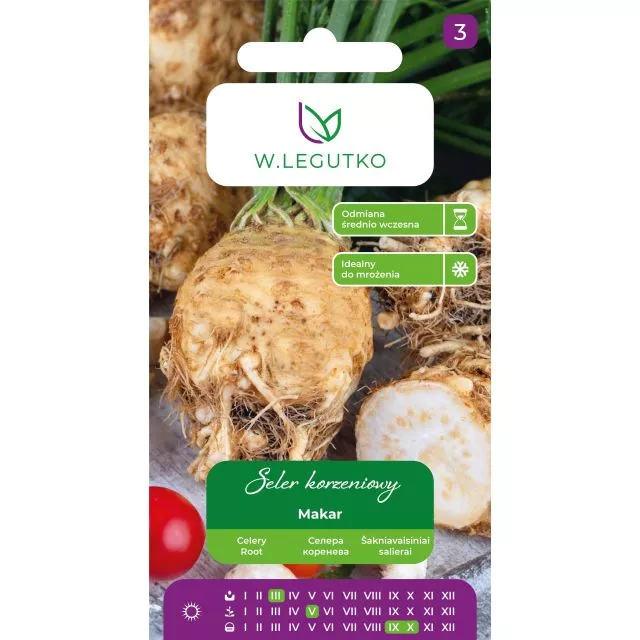 Seler korzeniowy Makar