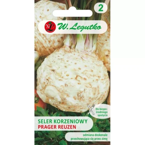 Seler korzeniowy Prager Riesen