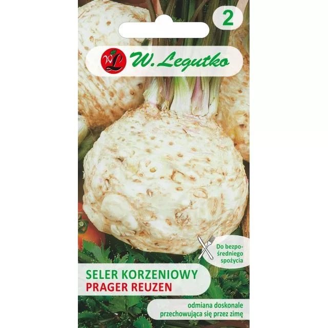 Seler korzeniowy Prager Riesen