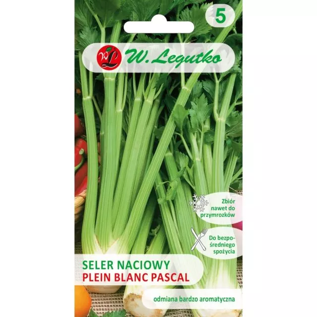 Seler naciowy Plein blanc Pascal