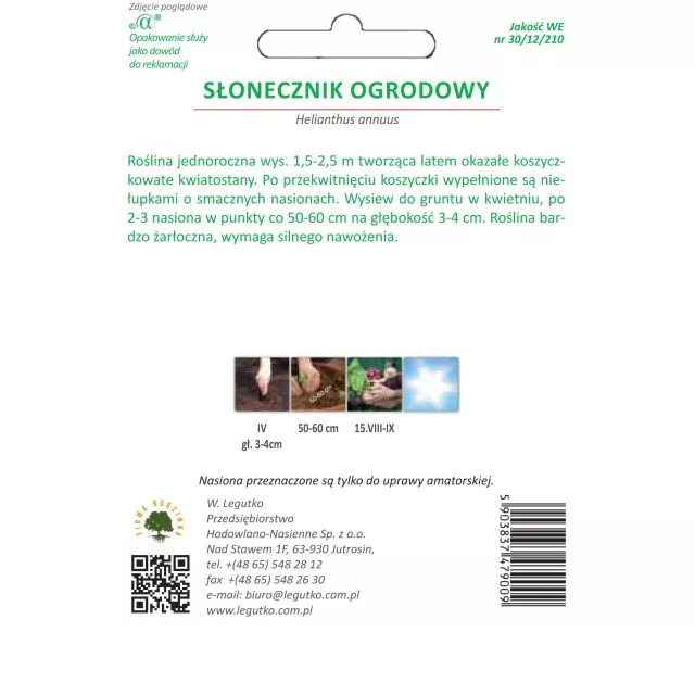 Słonecznik jadalny 20g - obrazek 2