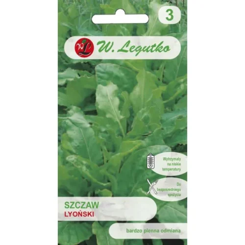 Szczaw zwyczajny Lyoński