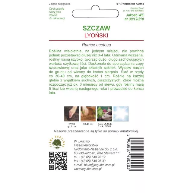 Szczaw zwyczajny Lyoński 2 g - obrazek 2