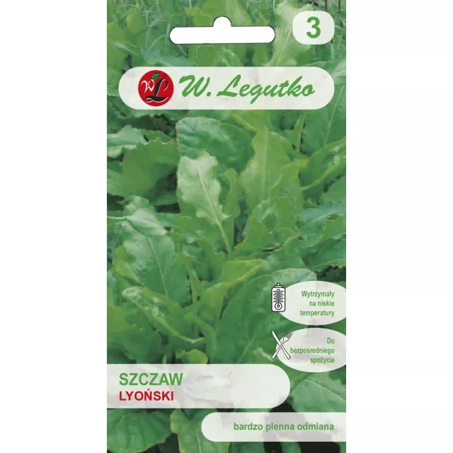 Szczaw zwyczajny Lyoński