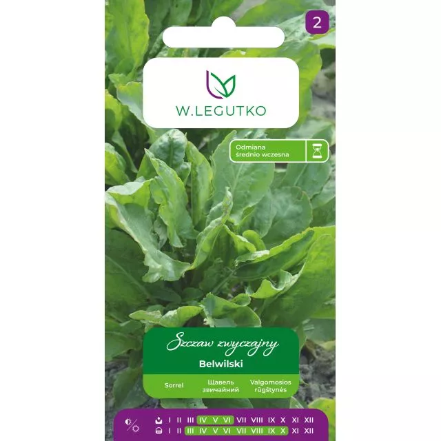 Szczaw zwyczajny Belwilski