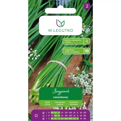 Szczypiorek czosnkowy