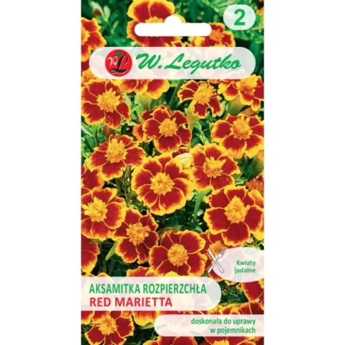 Aksamitka rozpierzchła Red Marietta