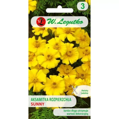 Aksamitka rozpierzchła Sunny